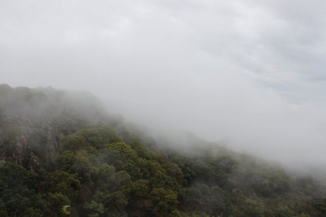 Der Nebel sinkt auf den Weg 